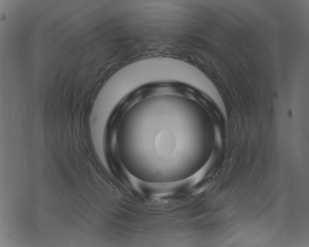 X0000071360276200606231207