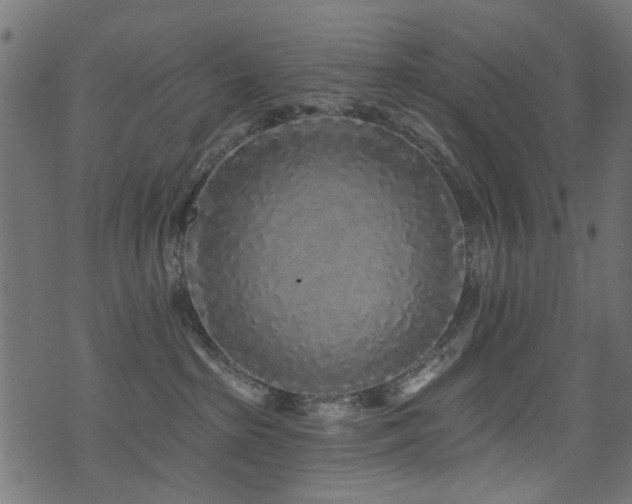X0000071360285200606231207