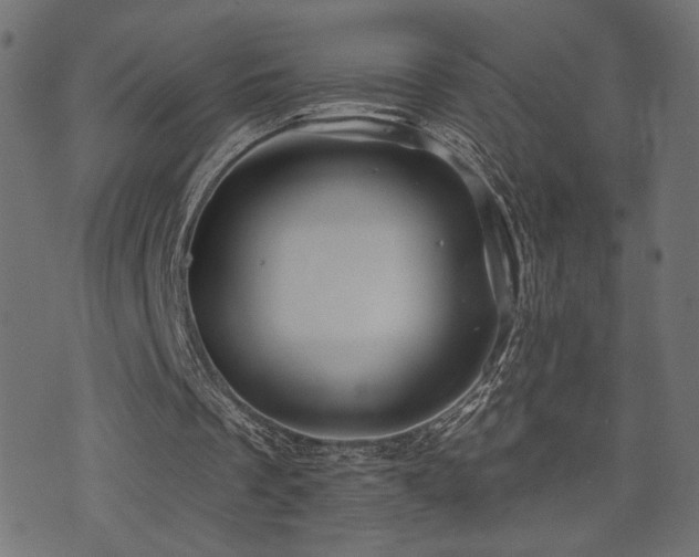 X0000071360289200606231206