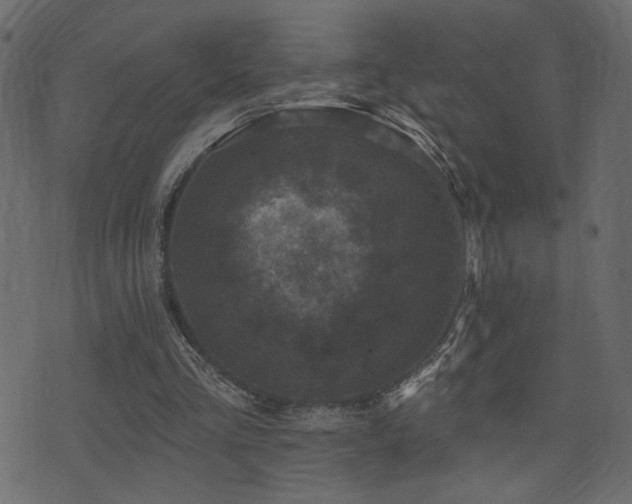 X0000071360293200606231206