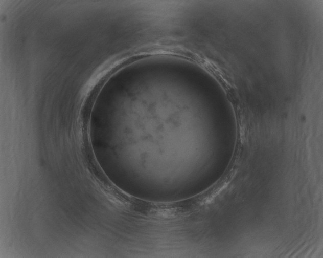 X0000071360295200606231206