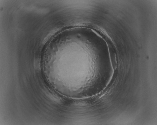X0000071360299200606231206