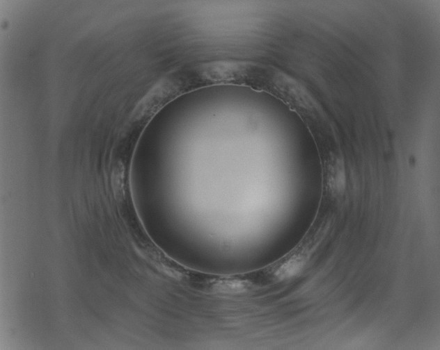 X0000071360332200606231205