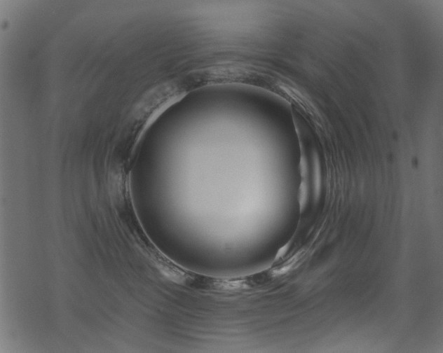 X0000071360333200606231205