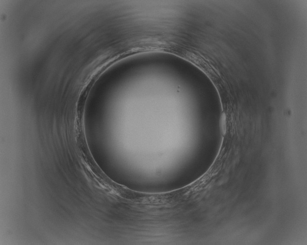 X0000071360338200606231204