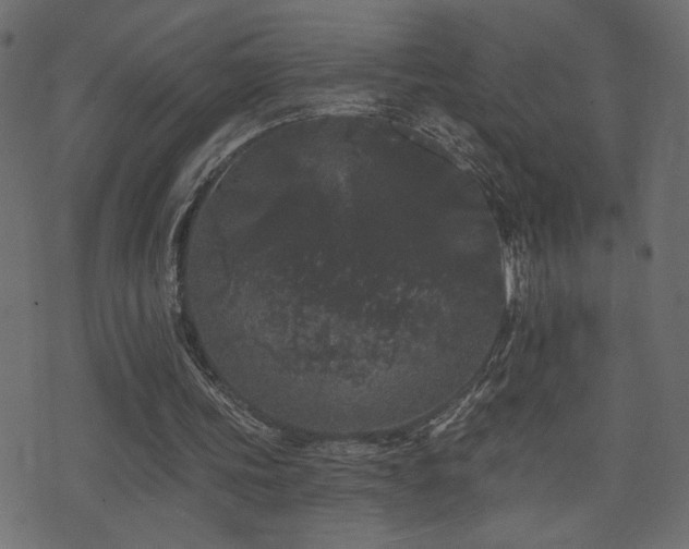 X0000071360339200606231204