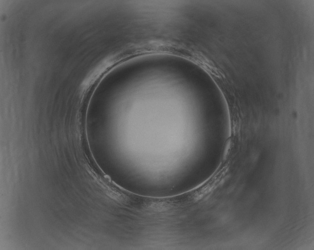 X0000071360341200606231204