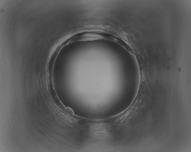 X0000071360342200606231205