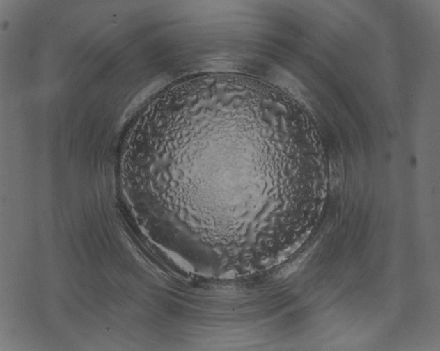 X0000071360349200606231205