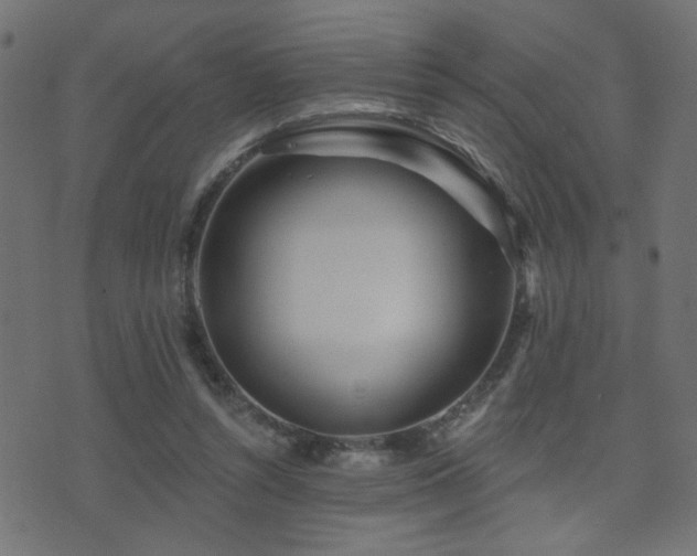 X0000071360352200606231205