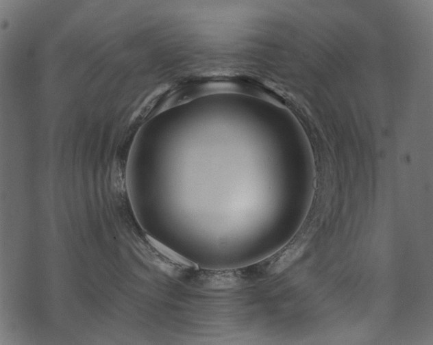 X0000071360384200606231205