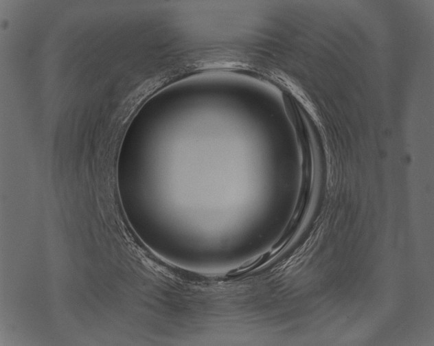 X0000071360385200606231204