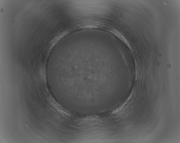 X0000071360386200606231204
