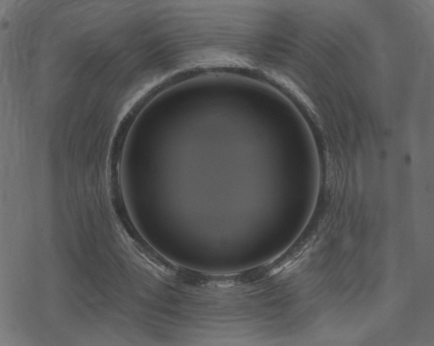 X0000071360391200606231204