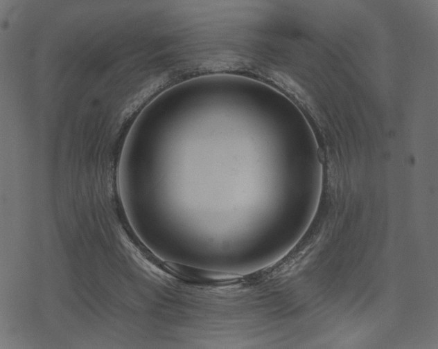 X0000071360393200606231204