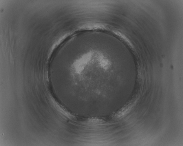 X0000071360399200606231204