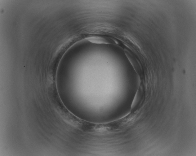 X0000071360407200606231204