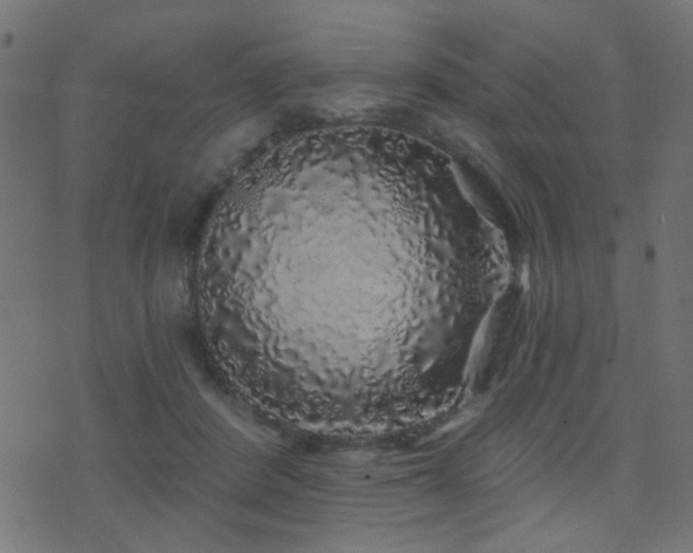 X0000071360408200606231204
