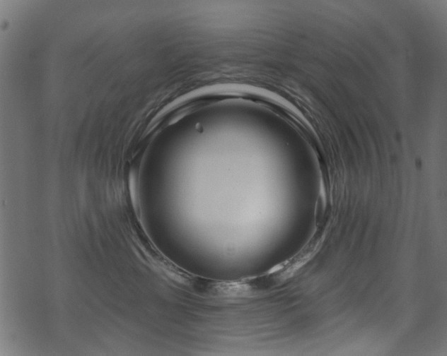 X0000071360429200606231204