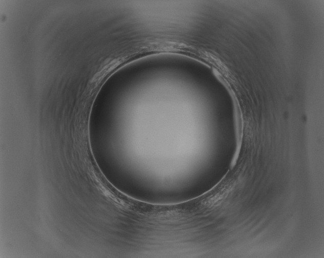 X0000071360433200606231203