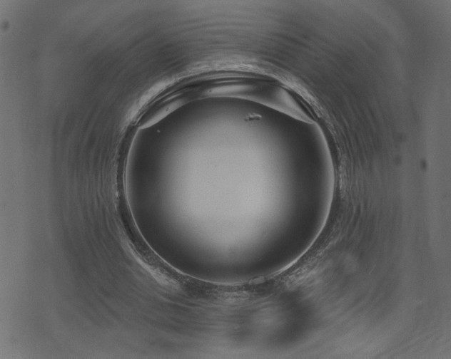 X0000071360438200606231203