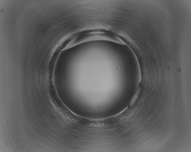 X0000071360440200606231203