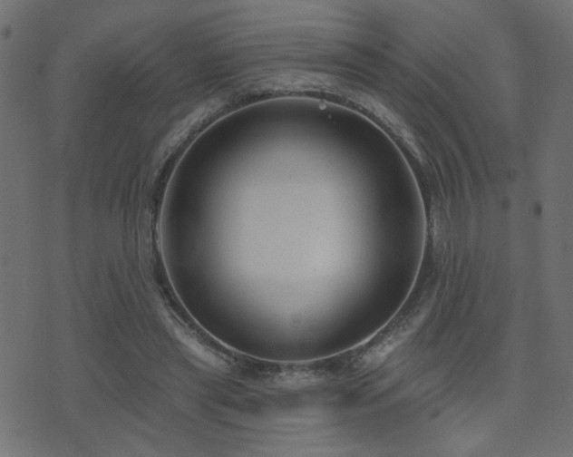 X0000071360445200606231203