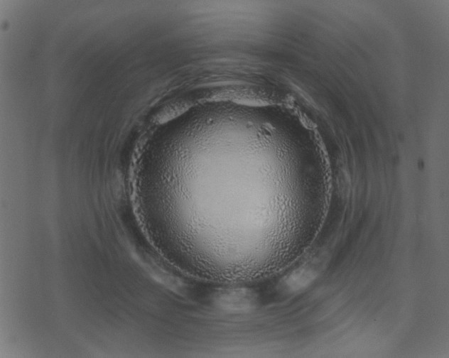 X0000071360459200606231203