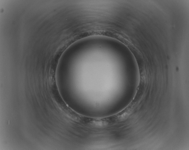 X0000071360464200606231203