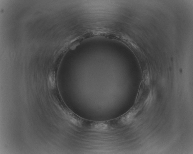 X0000071360471200606231203