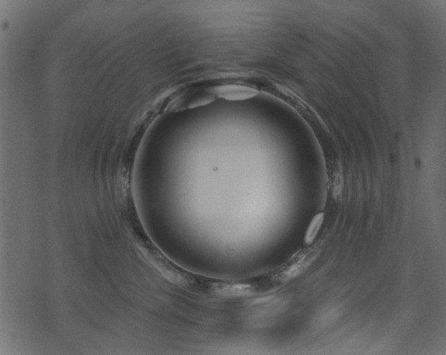 X0000071360476200606231204