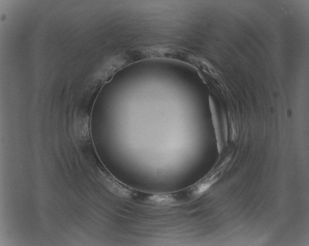 X0000071360477200606231204