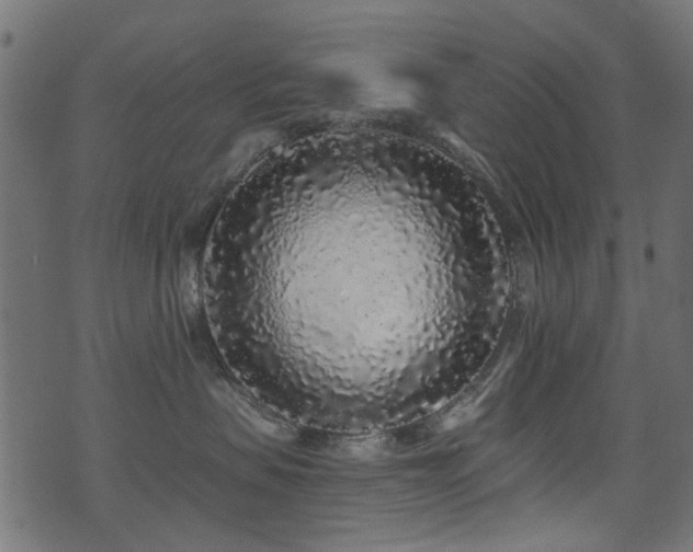 X0000071360479200606231204