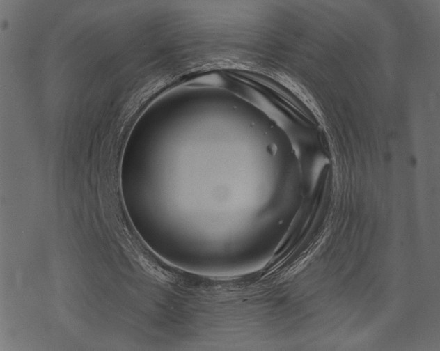 X0000071360481200606231203