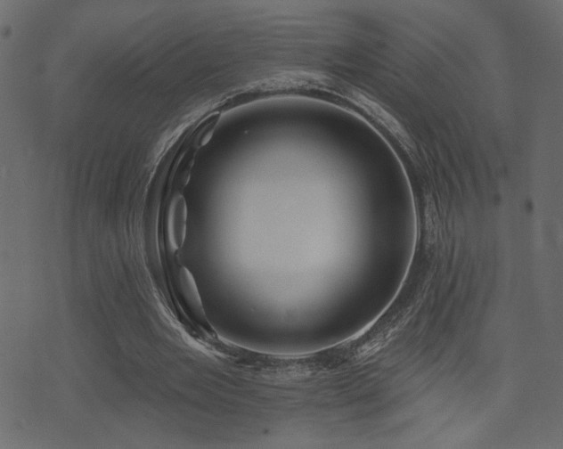 X0000071360485200606231203