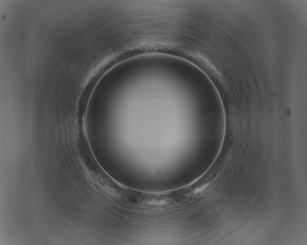 X0000071360488200606231203