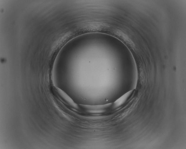 X0000071360493200606231203