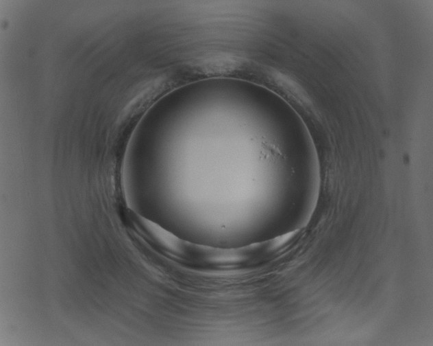 X0000071360501200606231203