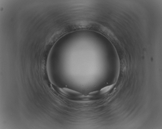 X0000071360509200606231202