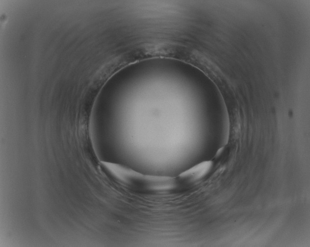 X0000071360513200606231202