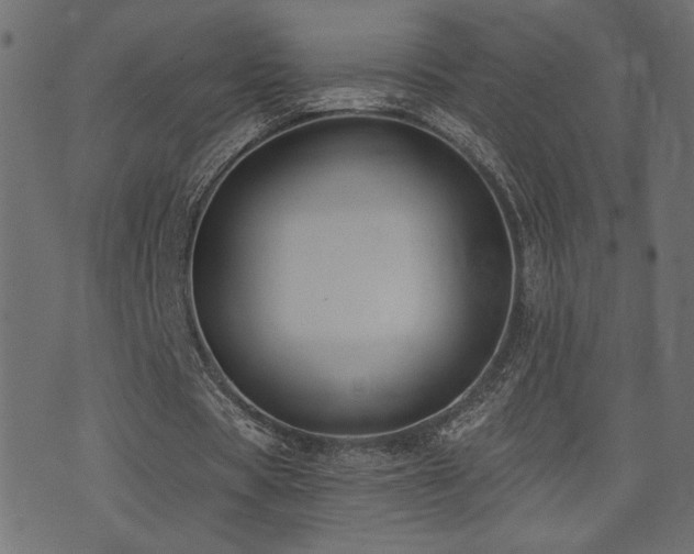 X0000071360529200606231201
