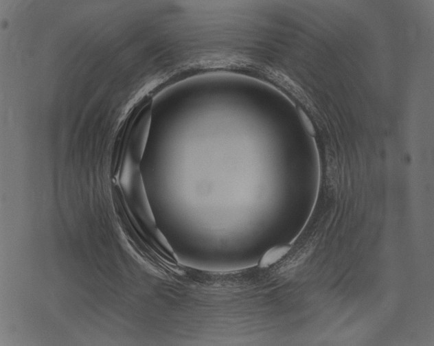 X0000071360530200606231201