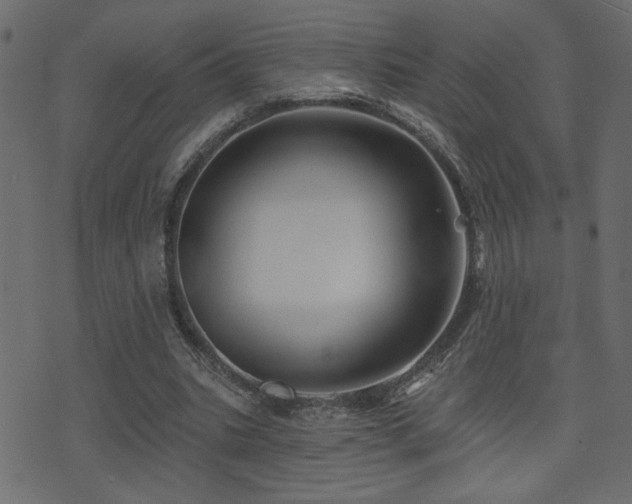 X0000071360535200606231201