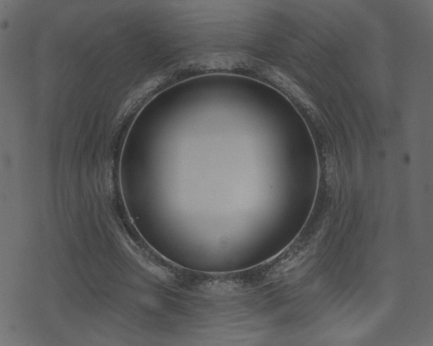 X0000071360537200606231201