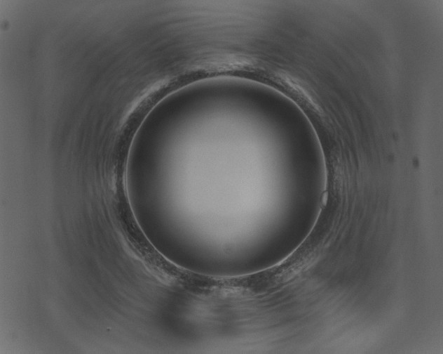 X0000071360539200606231201