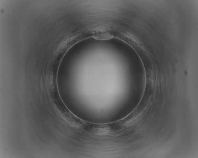 X0000071360548200606231202