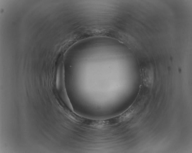 X0000071360563200606231202