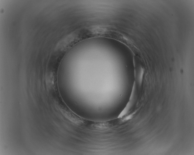 X0000071360567200606231202