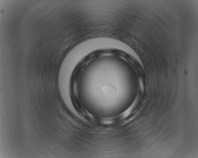 X0000071360568200606231202