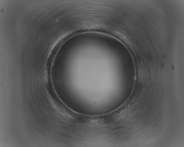 X0000071360584200606231201